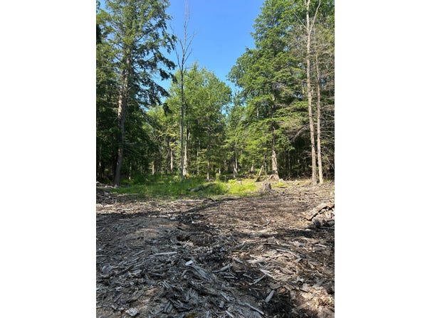 141 Cross Rd, Maryland, NY 12116