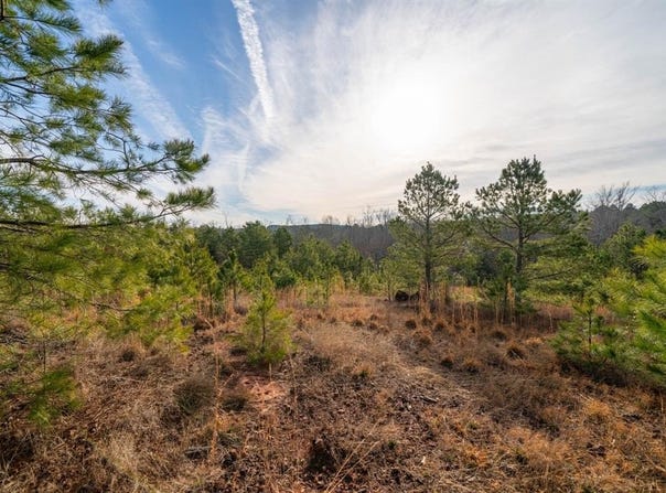 Tbd Athens Church Road, Hallsville, TX 75650