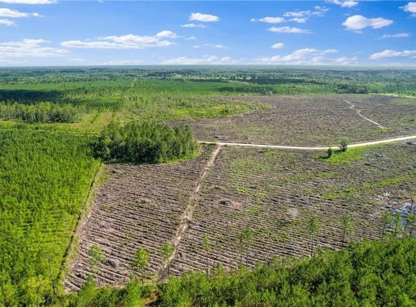 Tract 4 Morris Break Road, Odum, GA 31555