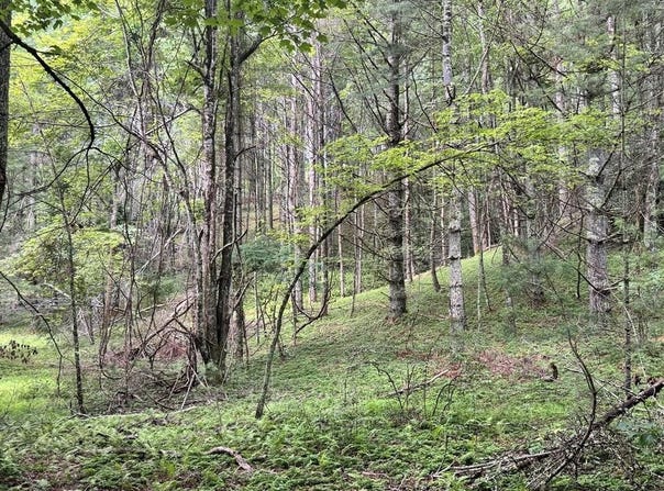 Tbd Fishers Dr., Mouth of Wilson, VA 24363