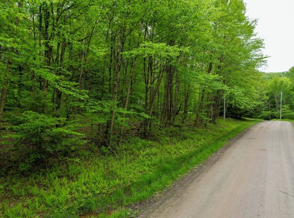 0 Deer Run Rd., Hancock, NY 13783