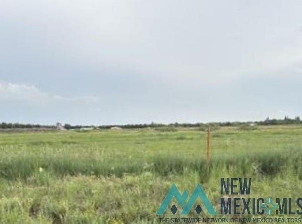 301 E Tumbleweed Road, Dexter, NM 88230
