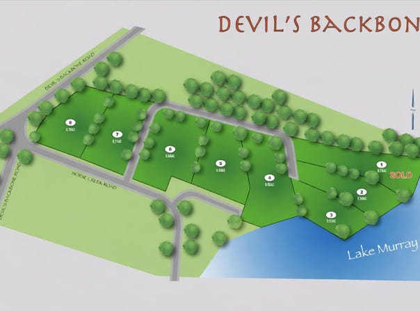 TBD Devils Backbone Road, Leesville, SC 29070