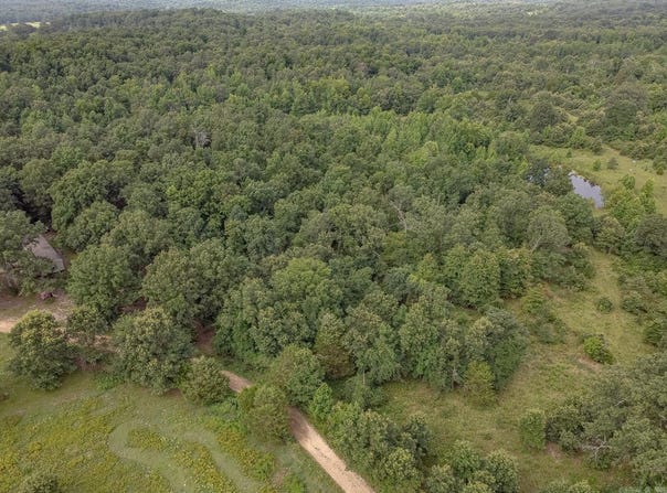 4152 Ponds Tract 6 Road, Maynard, AR 72444