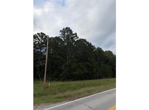 1720 Mountain View Rd, Locust Grove, AR 72550