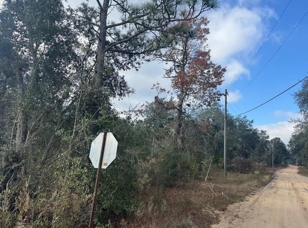 Douglas Ave Tract 7, Douglas, GA 31533