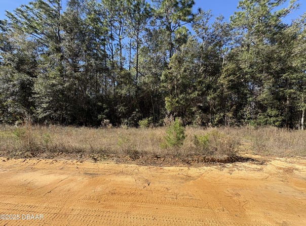 431 Brett Avenue, Interlachen, FL 32148