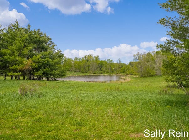 9 Mile Road, Reed City, MI 49677