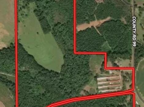 0 County Road 99, Chancellor, AL 36316