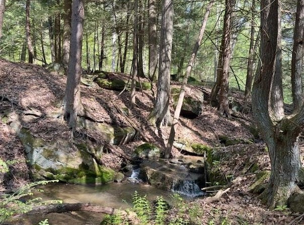 McClain Watson Road, Shippenville, PA 16254
