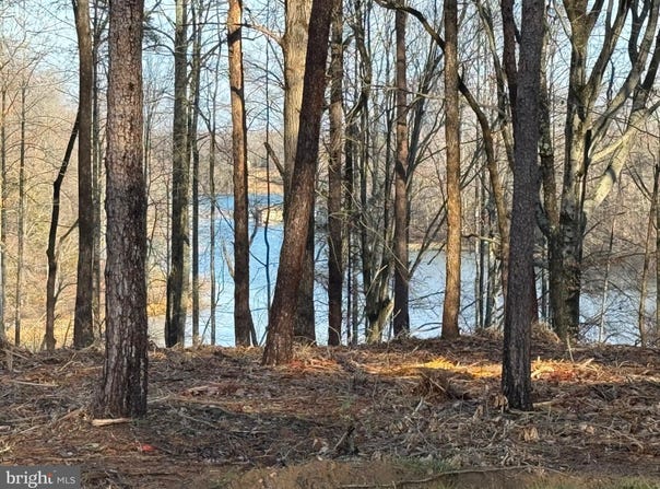 55 BUCKNERS LANE (COMPASS COVE AT LAKE ANNA), MINERAL, VA 23117