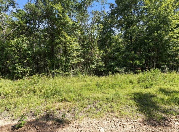 650 Little Fox Rd, Shirley, AR 72153