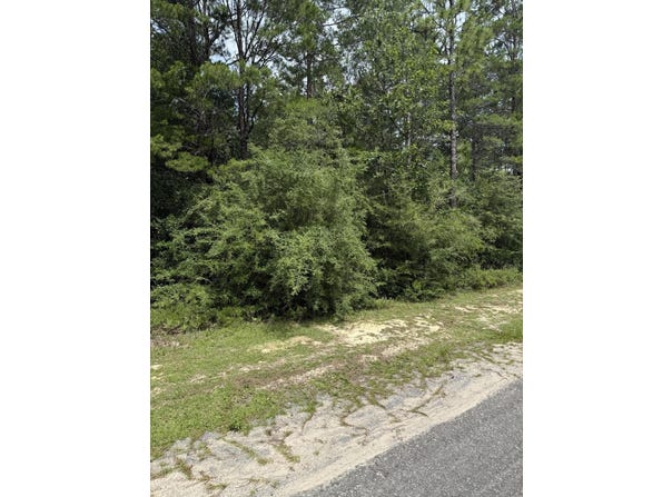 16 Lots Watson Rd, DeFuniak Springs, FL 32433