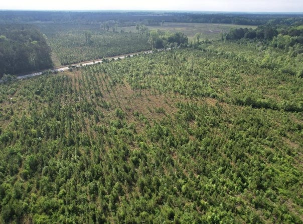 20Ac-TBD Highway 260, Manning, SC 29102