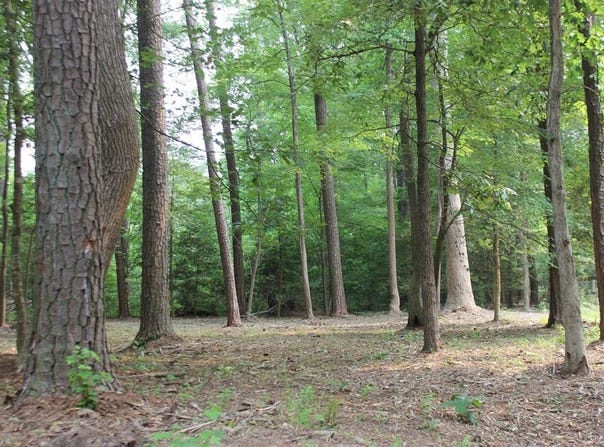 2106 BUCCANEER BLVD, GREENBACKVILLE, VA 23356