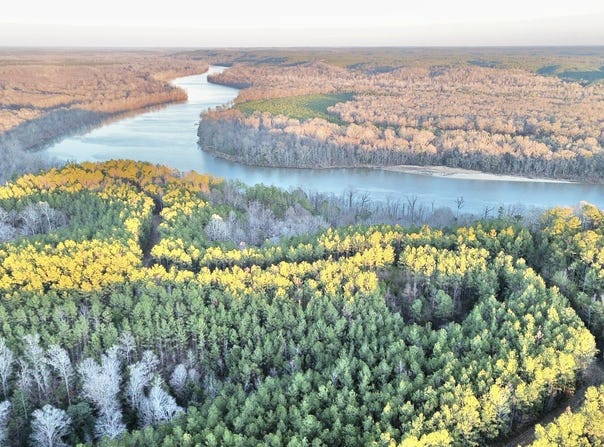 Ararat Rd Tract C, Toxey, AL 36921