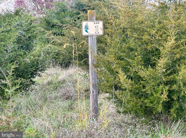 LOT 1 MARKWOOD DRIVE, KEYSER, WV 26726