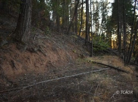 401 Vitzthum  Gulch Rd, Douglas City, CA 96024
