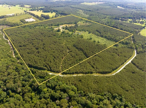 0 Ferguson Road, Coushatta, LA 71019