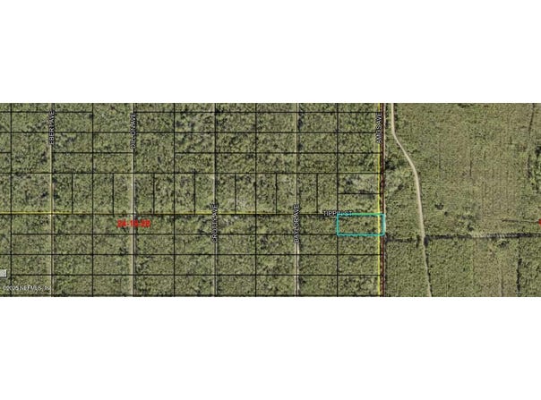 AMOS Avenue, Hastings, FL 32145