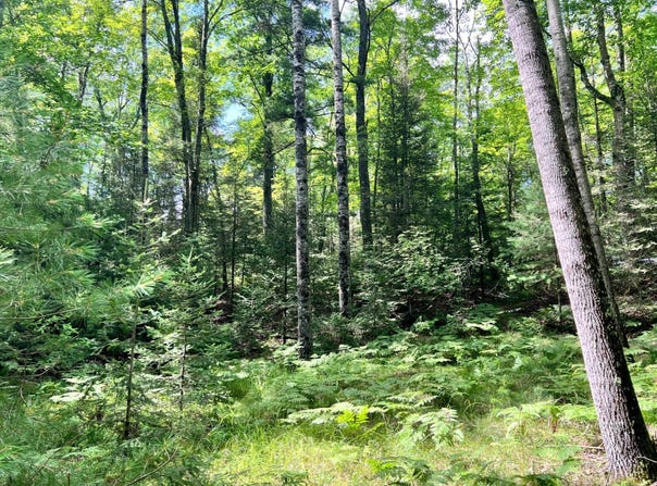 5 Ac On KNUTH LN, Eagle River, WI 54521