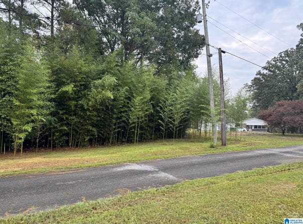 159 BRANDY LANE lot: 1, MULGA, AL 35118