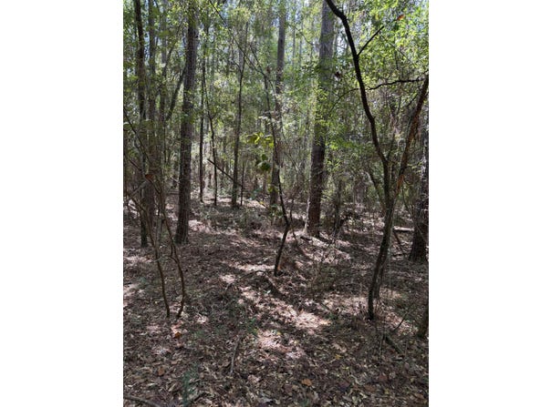 Sipsey Way, Tallahassee, FL 32305