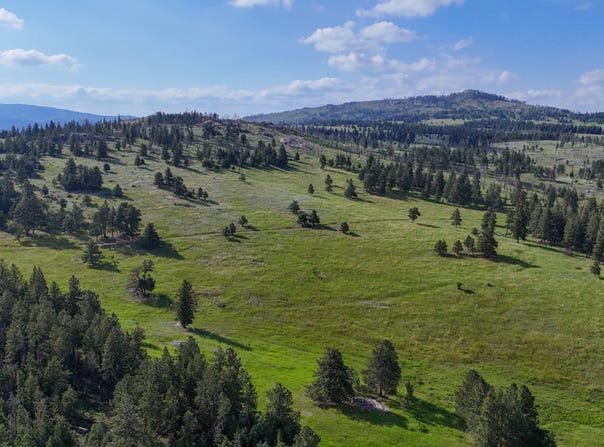381 OLD CAMP RD, Bellvue, CO 80512