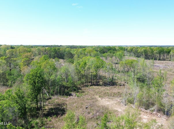Pettey Road, Forest, MS 39074