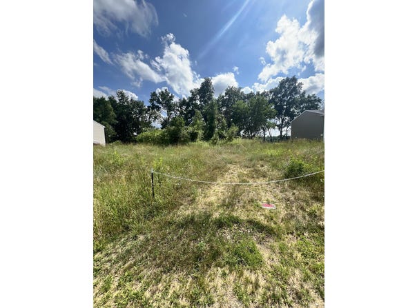 17915 Bluff Drive, Three Rivers, MI 49093