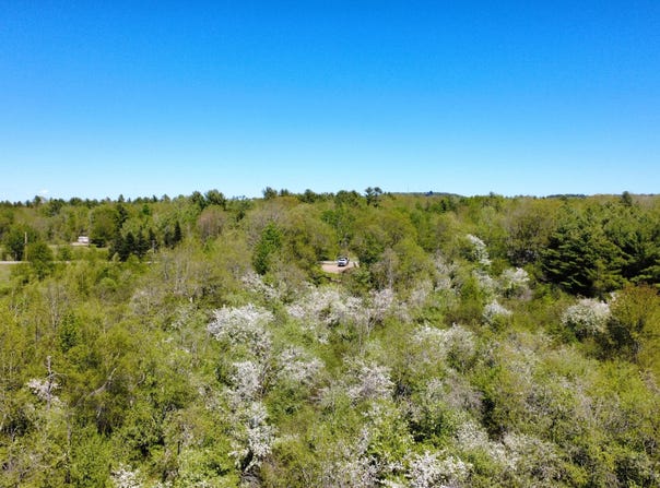 1 Goose River Estates, Swanville, ME 04915