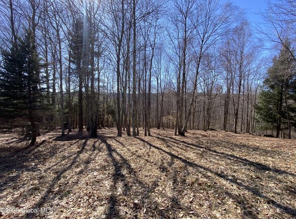 L22.2 Alder Pond Road, Bovina, NY 13740