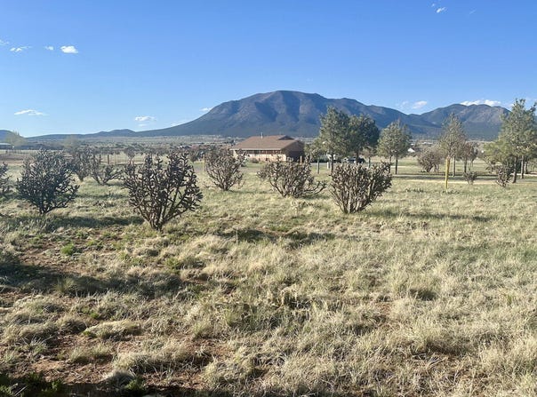 28 Calle Viernes, Edgewood, NM 87015