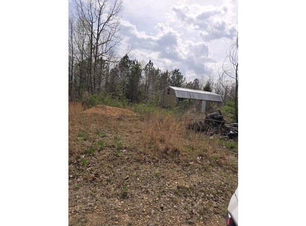 1497 Co Rd 117, Hodges, AL 35571
