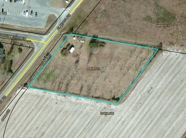 11 Antioch Rd, Adel, GA 31620