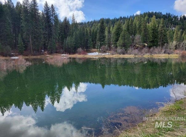 Peaceful Pines Rd Lot 13, Council, ID 83612
