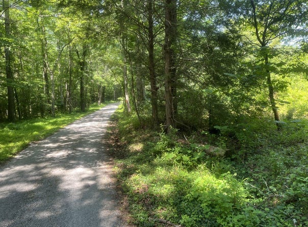 0 Blizzard Mines Road, Harriman, TN 37748