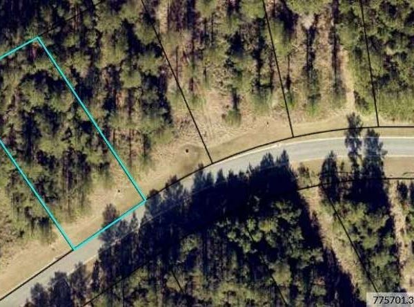 0 Shoreline, Kingsland, GA 31548