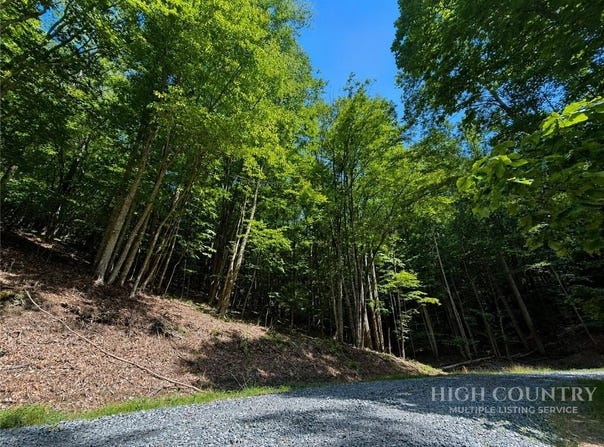 146 Sassafrass Road, Beech Mountain, NC 28604