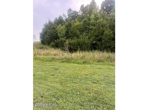 120 Vineyard Cove Drive, Loudon, TN 37774