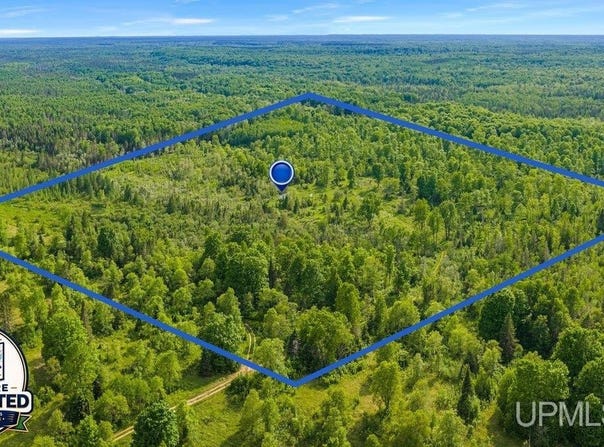 8789 38th Road, Rapid River, MI 49878