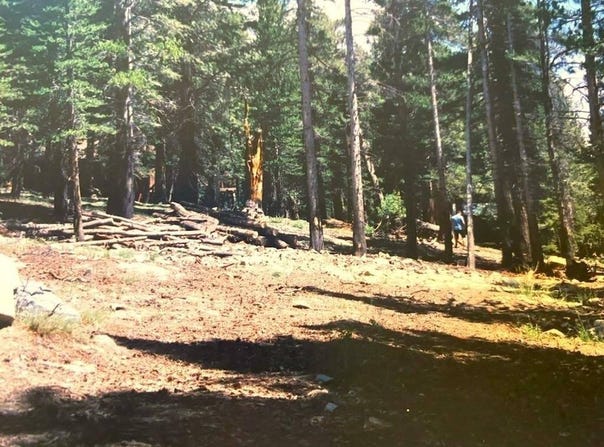 90 Pinecrest Drive, Virginia Lakes, CA 93517