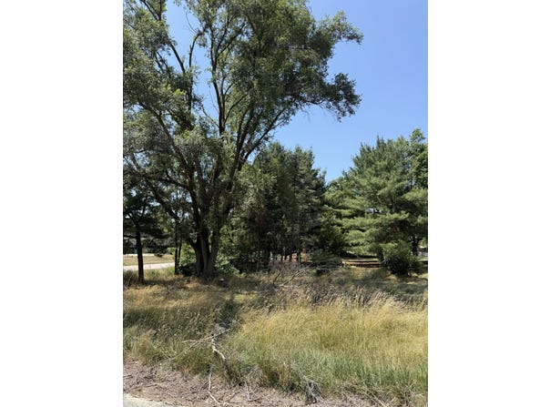 V/L 18th St, Dorr, MI 49323