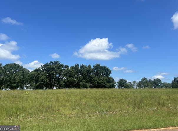 24 Camden Way, Hawkinsville, GA 31036