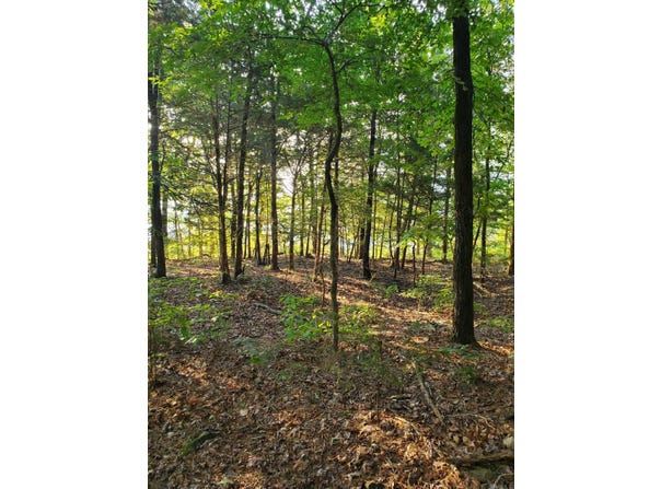 Fairfield Bay, AR 72088
