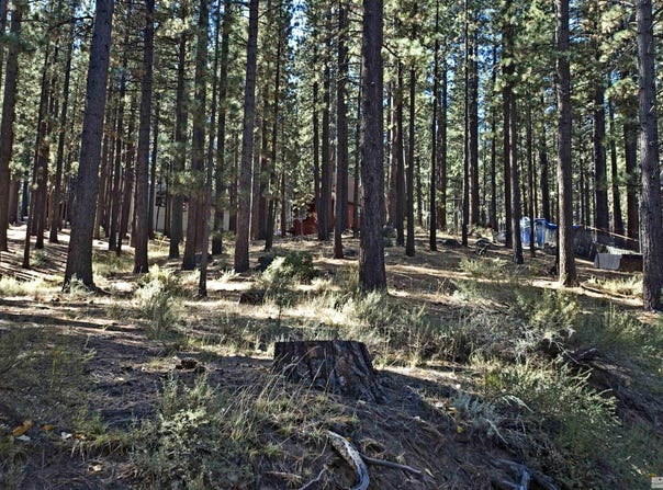 66 Pleasant Valley Road, Markleeville, CA 96120