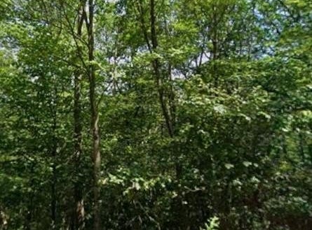 Point Phillips Road, KUNKLETOWN, PA 18058