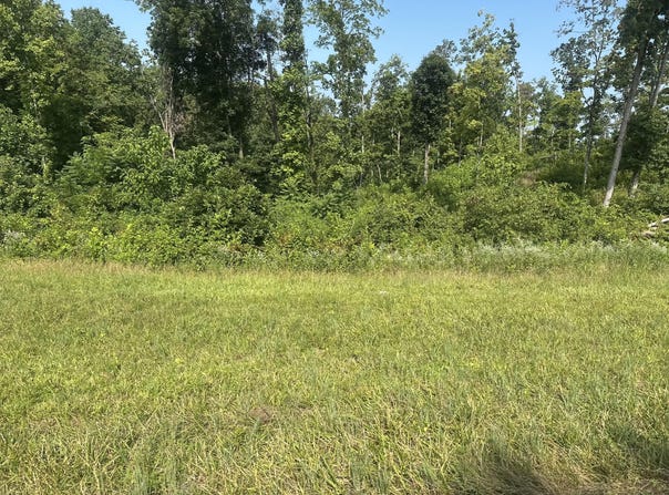 Lot 27 Rock Springs Road, Celina, TN 38551