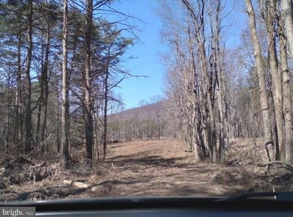 CRITTON OWL HOLLOW RD, SLANESVILLE, WV 25444