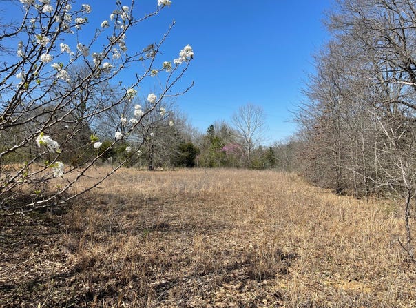0 Willow Bend Lane, Atoka, OK 74525
